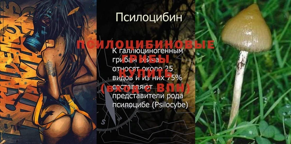 МДПВ Михайловка