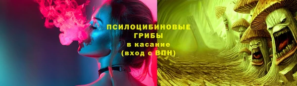 PSILOCYBIN Михайлов
