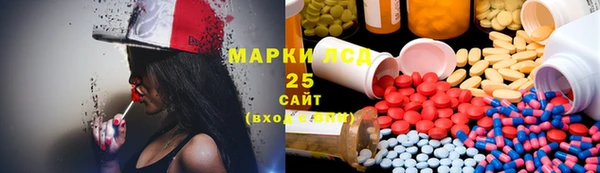 PSILOCYBIN Михайлов