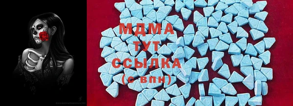 PSILOCYBIN Михайлов