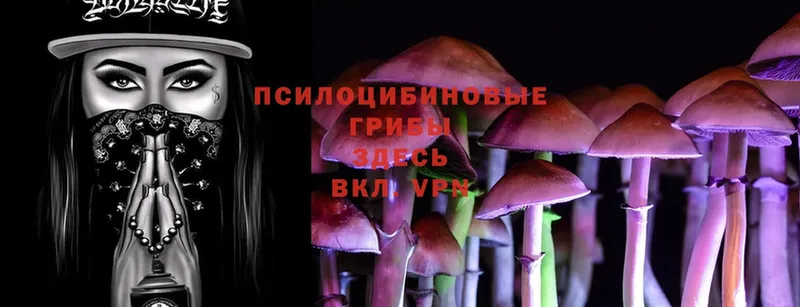 купить наркоту  Карабулак  Псилоцибиновые грибы MAGIC MUSHROOMS 