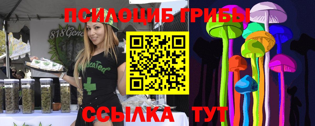 Канабис  A PVP СК кристаллы  ГАШИШ  Вход с VPN  Где продают наркотики?  Меф МЯУ МЯУ кристаллы  NBOMe  Карабулак  Конопля 