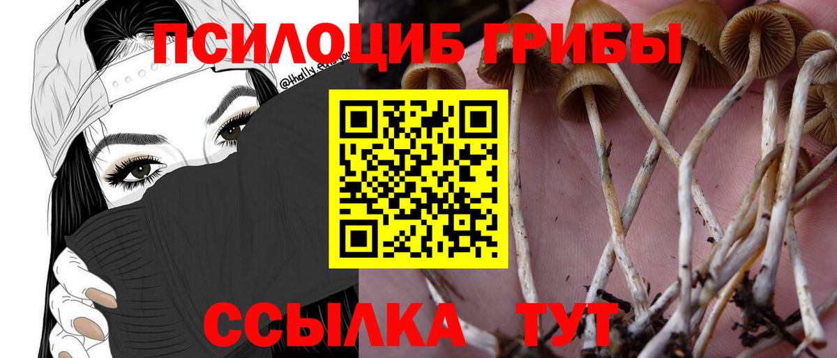 Псилоцибиновые грибы GOLDEN TEACHER  Вход с VPN  наркота  Карабулак 